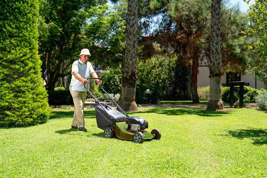 best cordless lawnmower